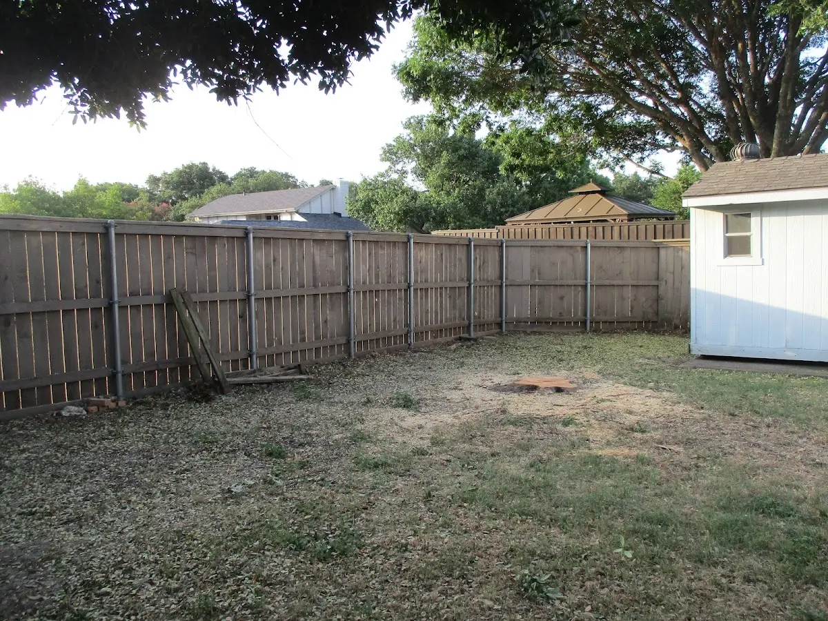 Cleared yard after professional tree removal in Riegelsville