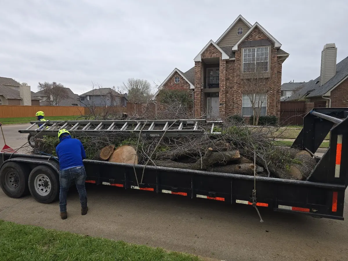 Expert Tree Pest Control with proper safety equipment in Riegelsville